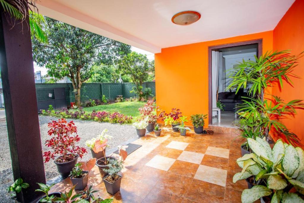 Hotel Blue Bird Negombo Exterior foto