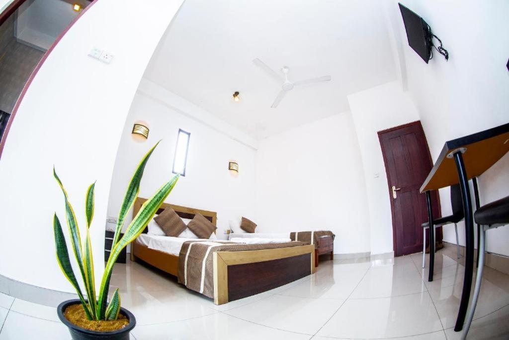Hotel Blue Bird Negombo Exterior foto